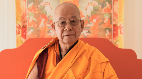 La meditación: de la ignorancia a la libertad