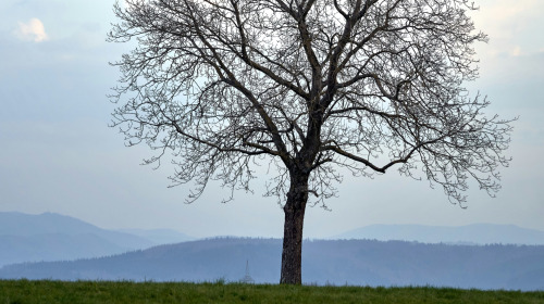 La meditación es simplemente ser