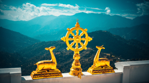 No renuncies a la iluminación