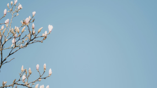 Cuando llega el momento de la muerte