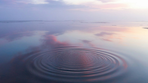 ¿Por qué meditar?